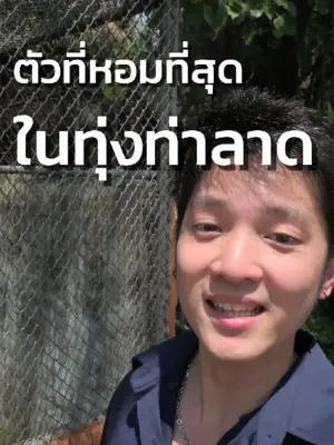 ภาพปกวิดีโอ: กลิ่นหอมรันจวญ